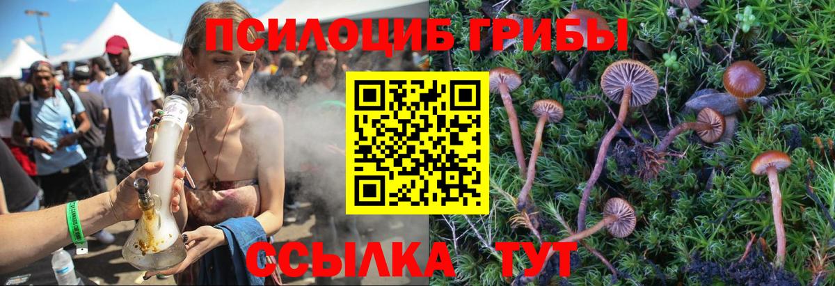 Галлюциногенные грибы Psilocybe  Вход с VPN  Псилоцибиновые грибы MAGIC MUSHROOMS  Владимир 