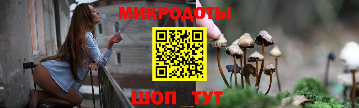 Галлюциногенные грибы ЛСД Владимир